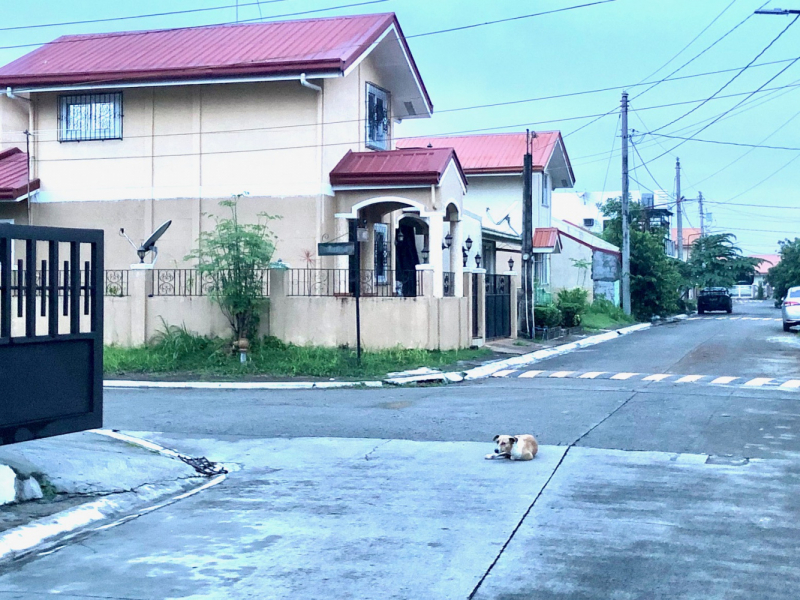 Ветер перемен или Манила заманила.