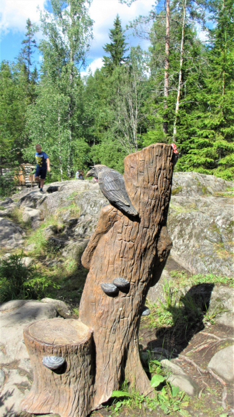 «Долго будет Карелия сниться». Июль 2020.