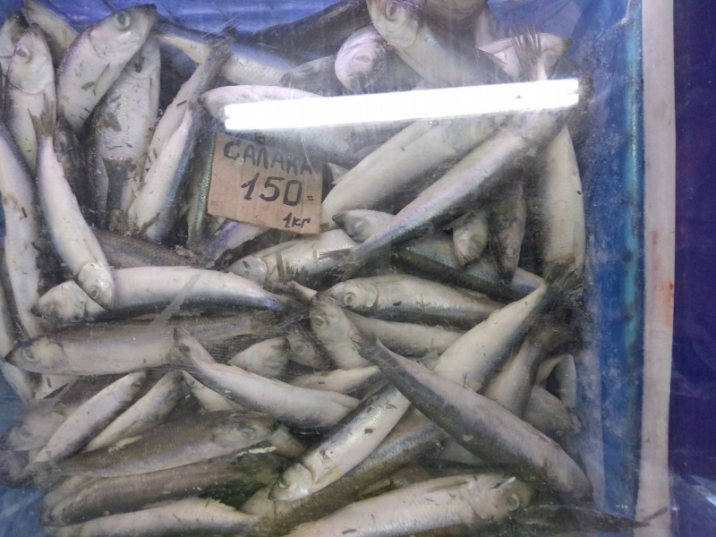 поселок Утес,ЮБК,Крым