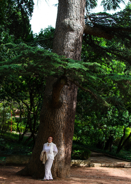 поселок Утес,ЮБК,Крым