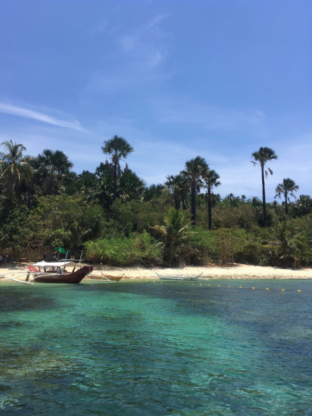 Ветер перемен или Манила заманила.