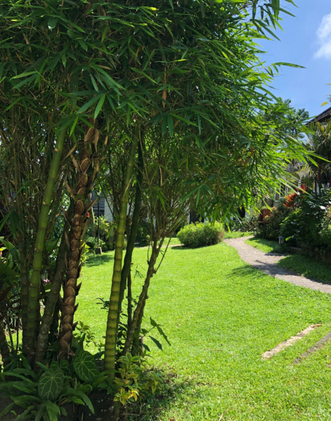 Ветер перемен или Манила заманила.