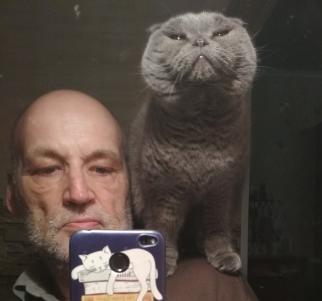 Кошки в нашей жизни. Кошки и все, что с ними связано.