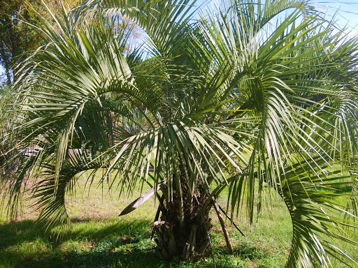 Ветер перемен или Манила заманила.