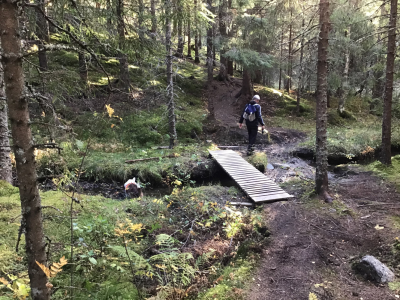 Окрестности Brønnøysund это не только Torghatten