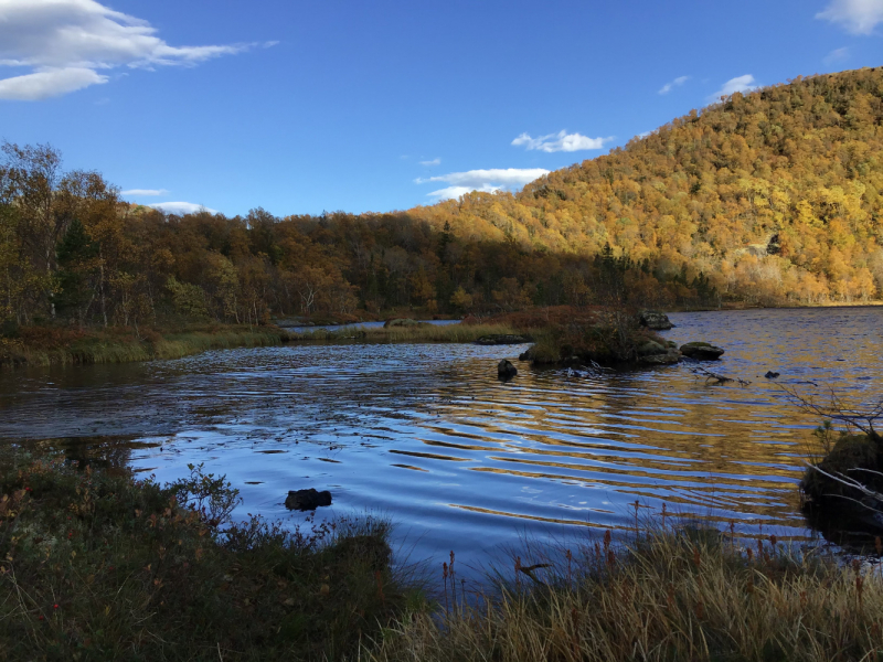Окрестности Brønnøysund это не только Torghatten