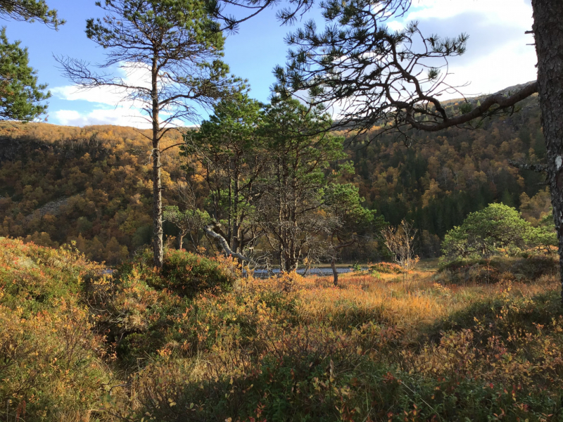 Окрестности Brønnøysund это не только Torghatten