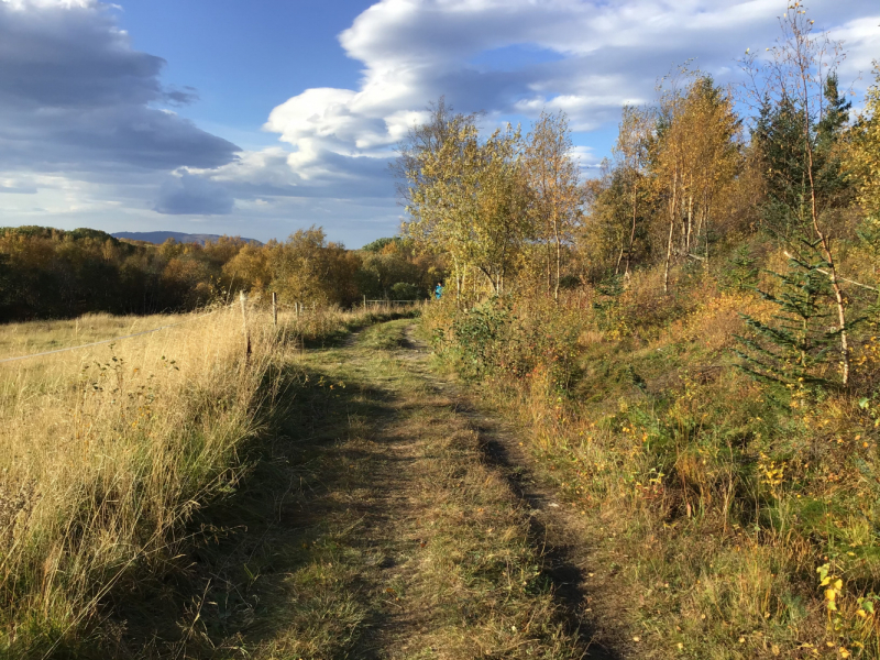 Окрестности Brønnøysund это не только Torghatten