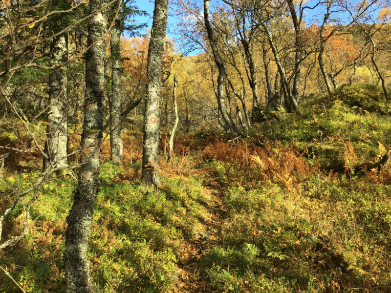 Окрестности Brønnøysund это не только Torghatten