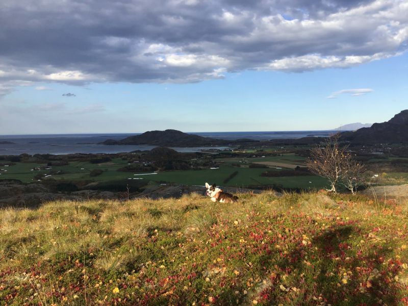 Окрестности Brønnøysund это не только Torghatten