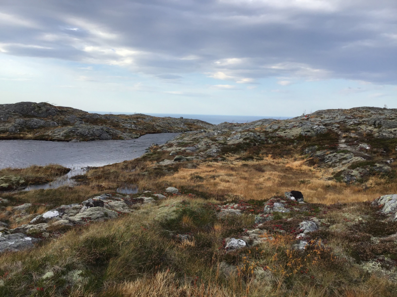 Окрестности Brønnøysund это не только Torghatten