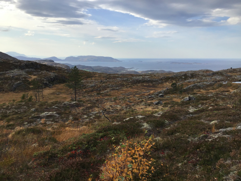 Окрестности Brønnøysund это не только Torghatten