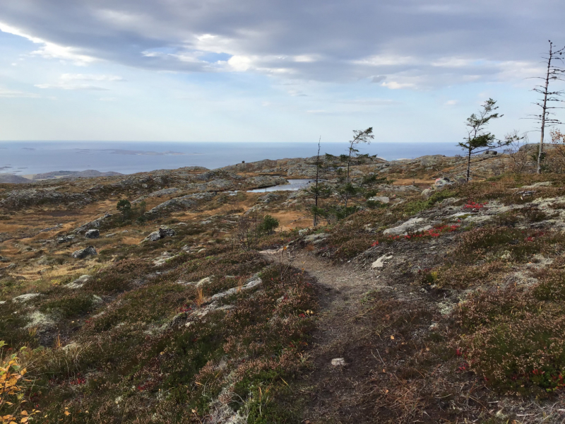 Окрестности Brønnøysund это не только Torghatten