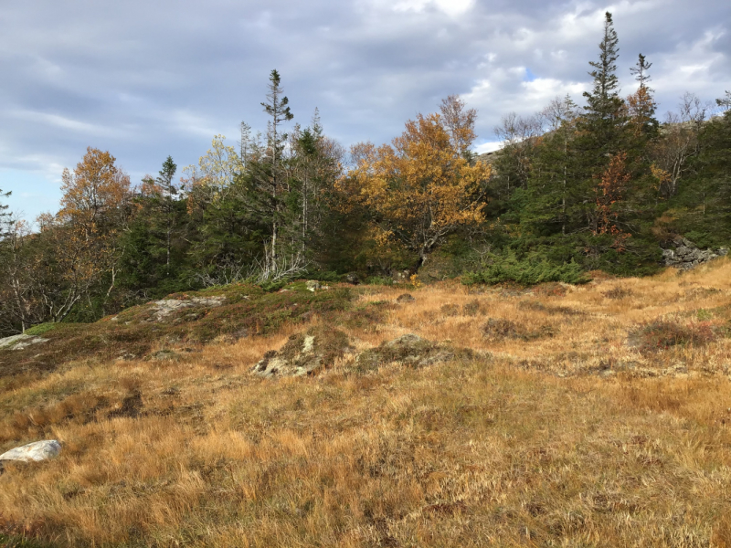 Окрестности Brønnøysund это не только Torghatten