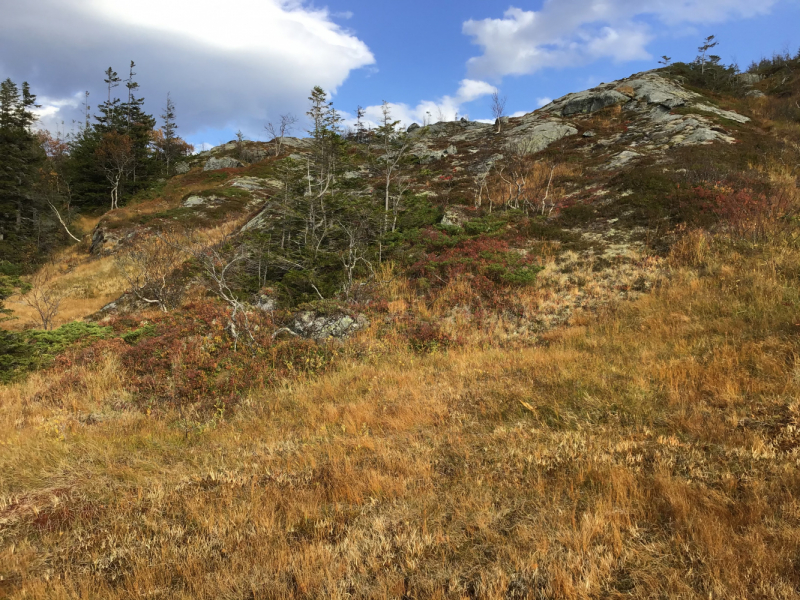 Окрестности Brønnøysund это не только Torghatten