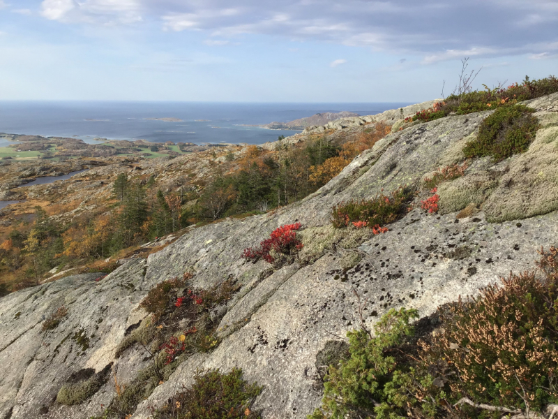 Окрестности Brønnøysund это не только Torghatten