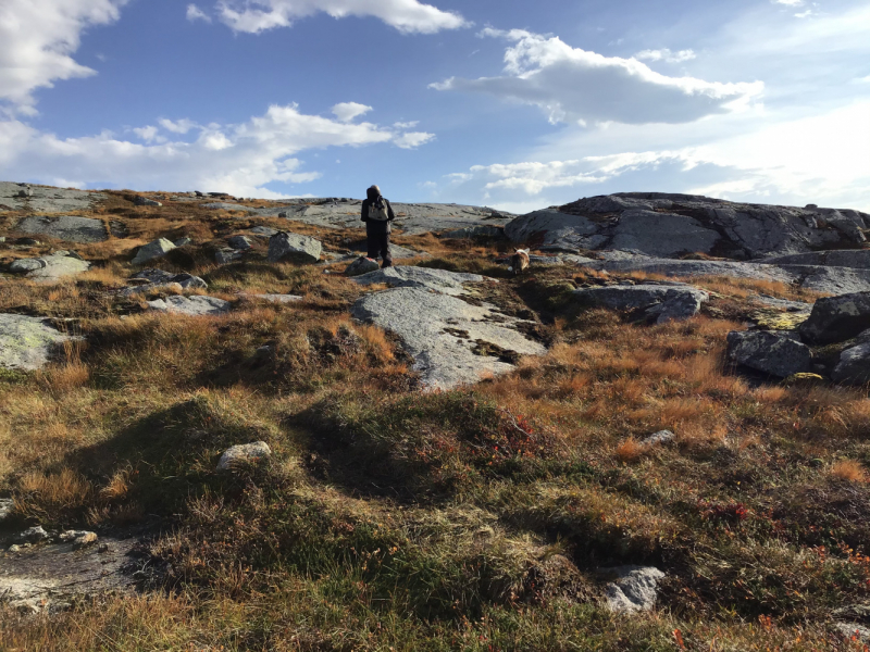 Окрестности Brønnøysund это не только Torghatten