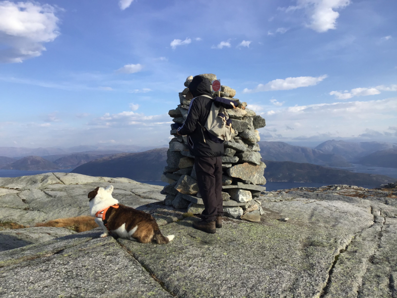 Окрестности Brønnøysund это не только Torghatten