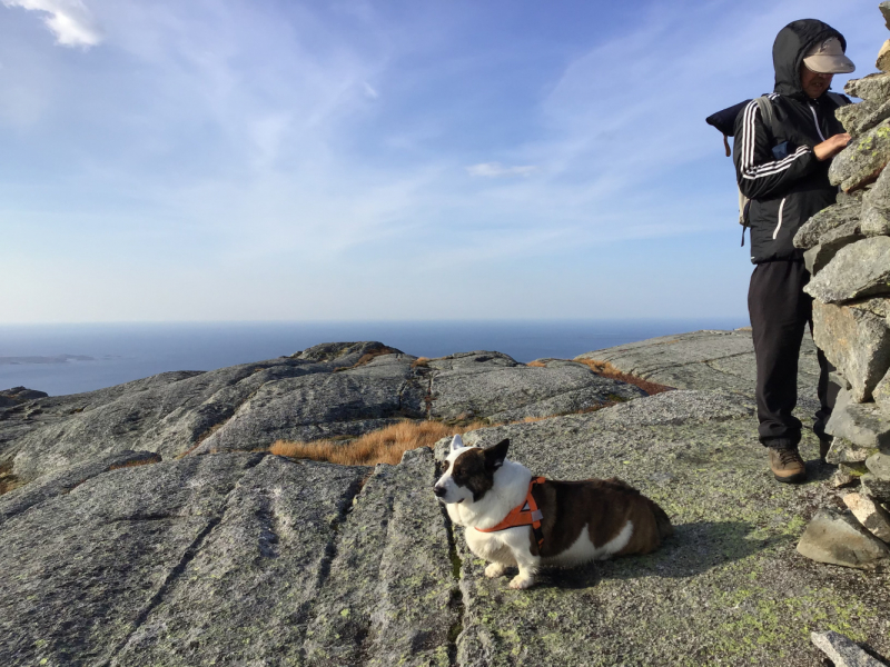 Окрестности Brønnøysund это не только Torghatten