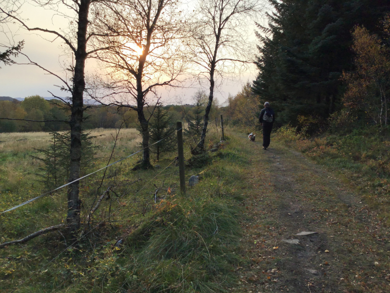 Окрестности Brønnøysund это не только Torghatten