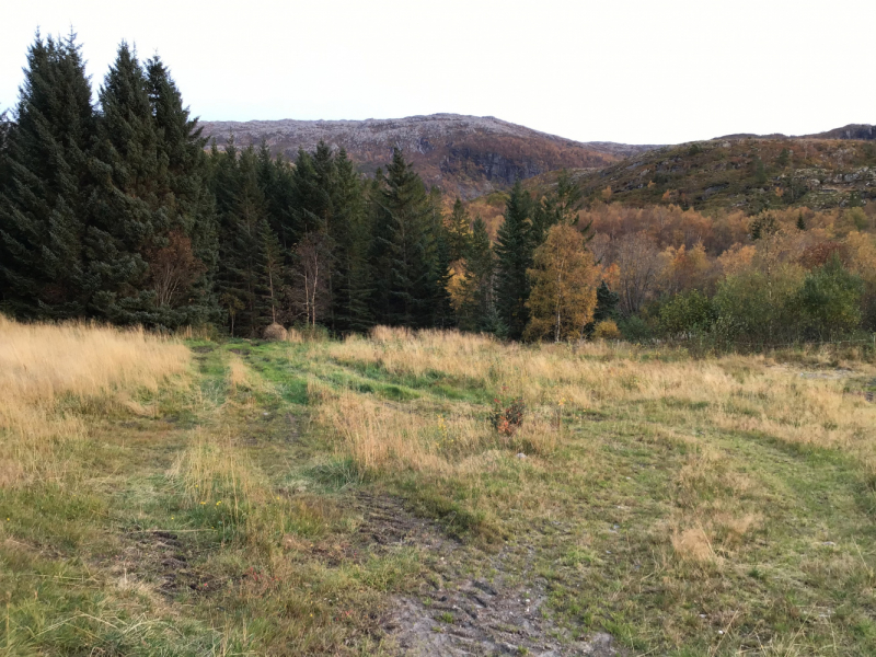 Окрестности Brønnøysund это не только Torghatten