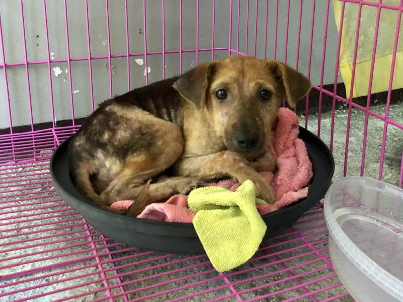 Ветер перемен или Манила заманила.