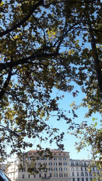 La mia vita. Римские записки, дневник онлайн