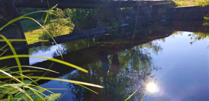 «Долго будет Карелия сниться». Июль 2020.