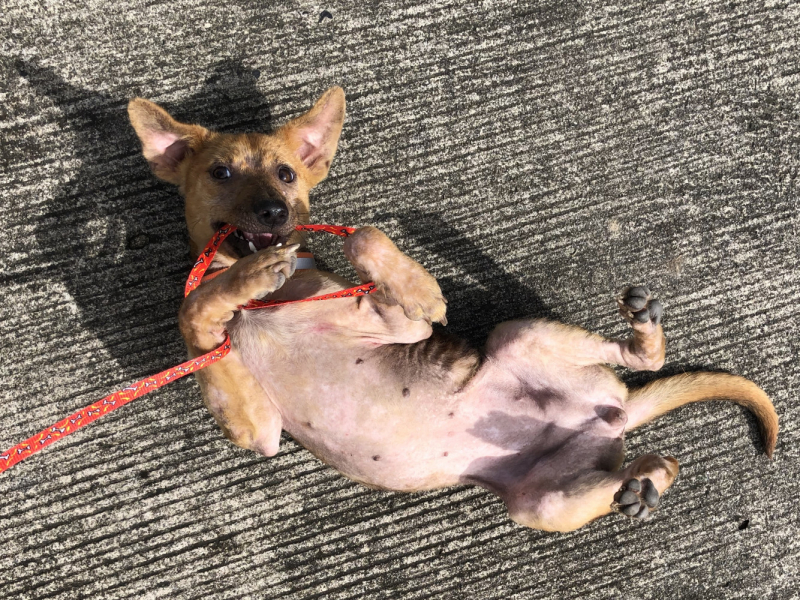 Ветер перемен или Манила заманила.