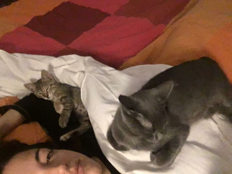 La mia vita. Римские записки, дневник онлайн