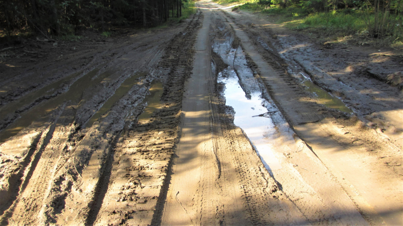 «Долго будет Карелия сниться». Июль 2020.