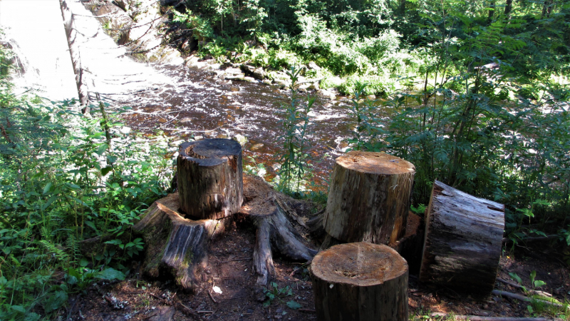 «Долго будет Карелия сниться». Июль 2020.