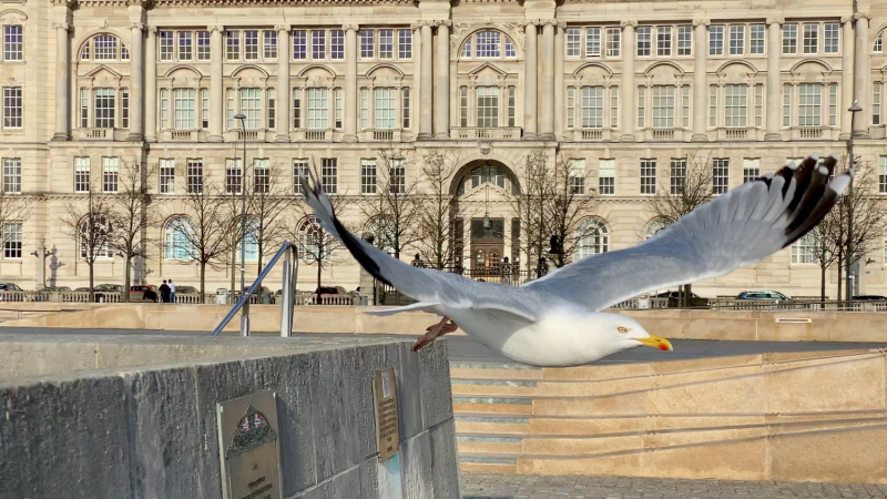 Британский гранд вояж на авто или «Отпуск — это маленькая жизнь»