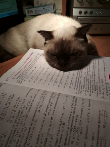 Кошки в нашей жизни. Кошки и все, что с ними связано.