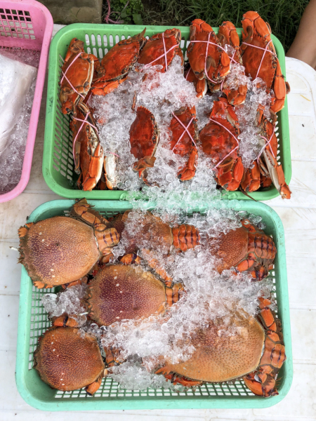 Ветер перемен или Манила заманила.