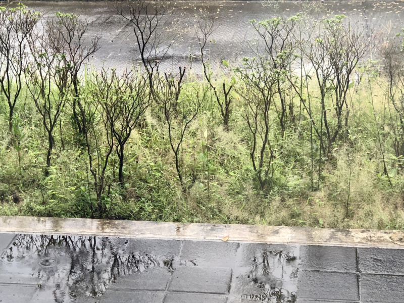 Ветер перемен или Манила заманила.