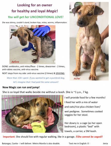 Ветер перемен или Манила заманила.