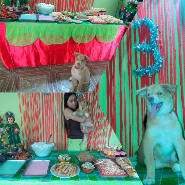 Ветер перемен или Манила заманила.