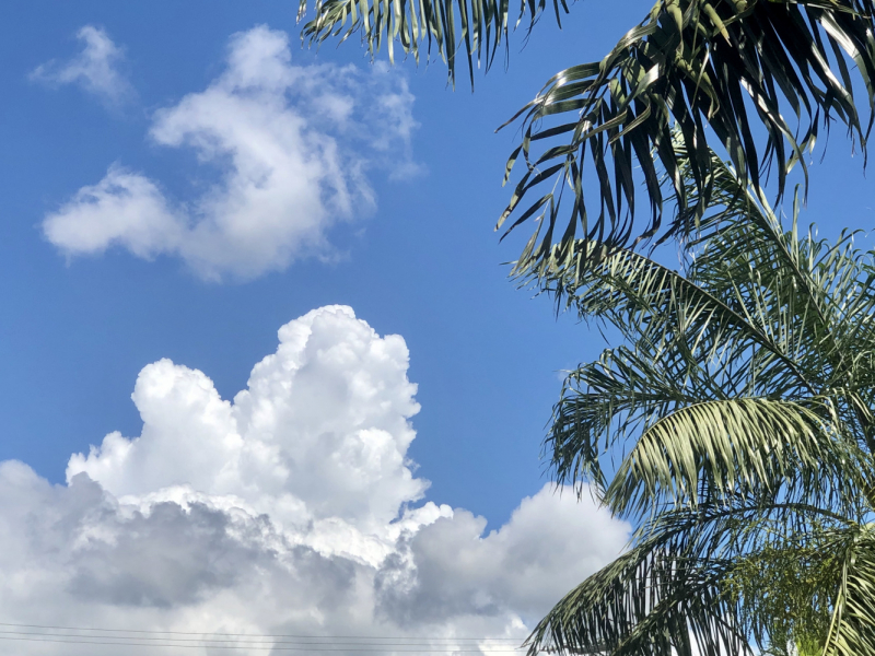 Ветер перемен или Манила заманила.