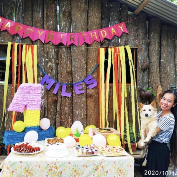 Ветер перемен или Манила заманила.