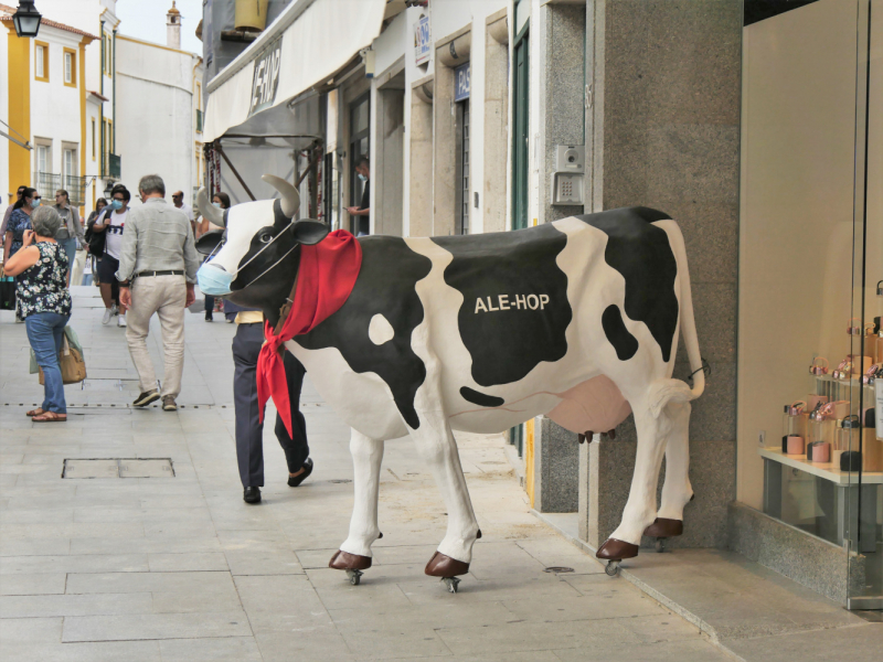 Провинциальная Португалия