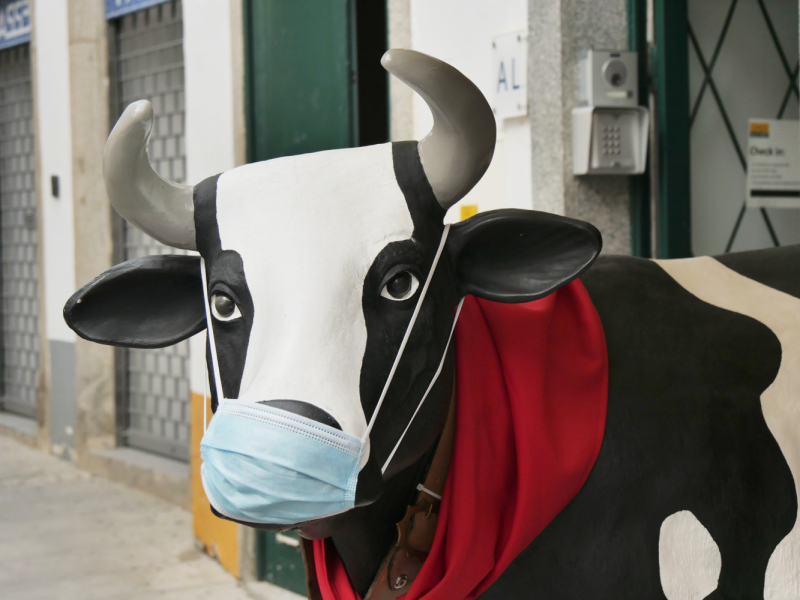 Провинциальная Португалия