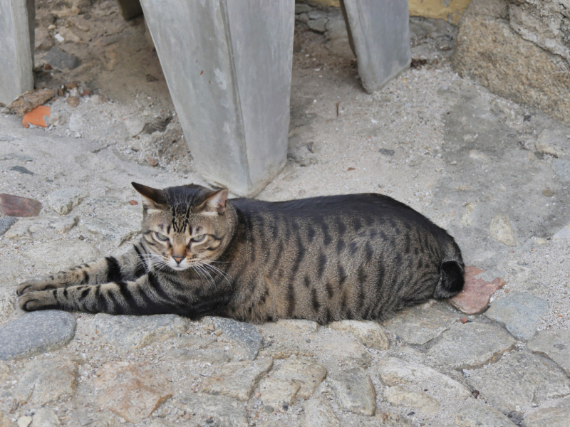 Провинциальная Португалия