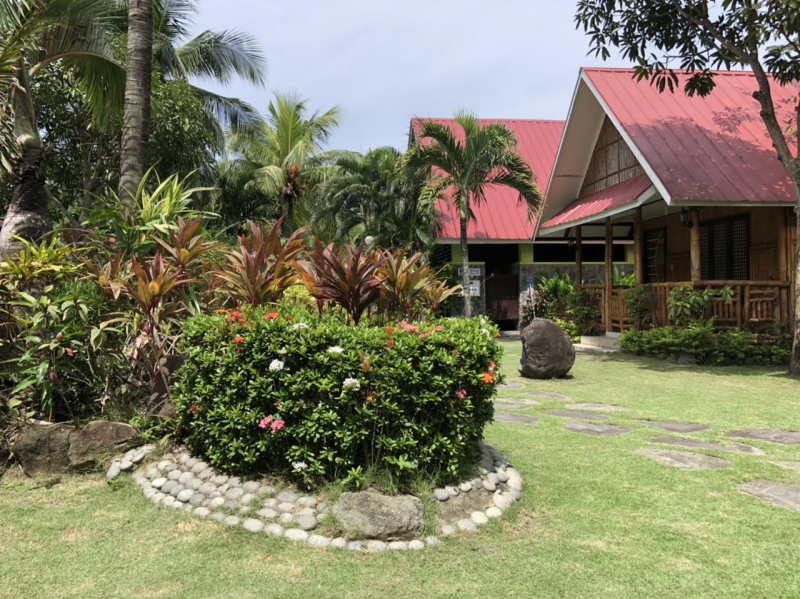 Ветер перемен или Манила заманила.