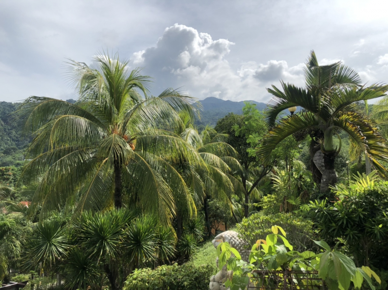 Ветер перемен или Манила заманила.