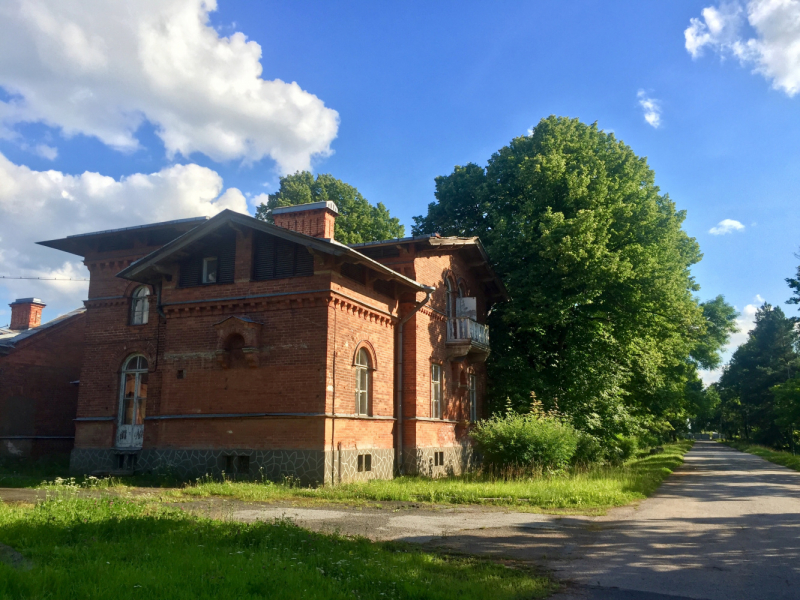 «Как я провёл этим летом» ©️ или неспешные прогулки по окрестностям Петербурга в ковидную годину
