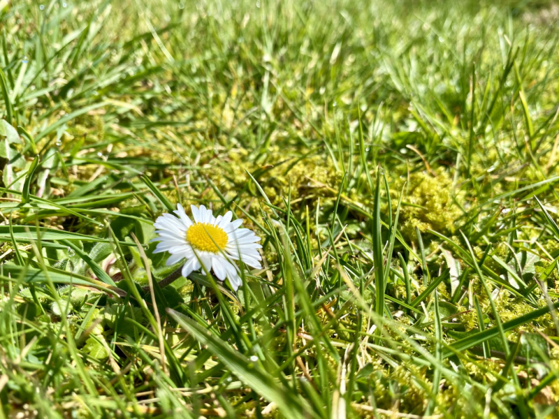 Британский гранд вояж на авто или «Отпуск — это маленькая жизнь»