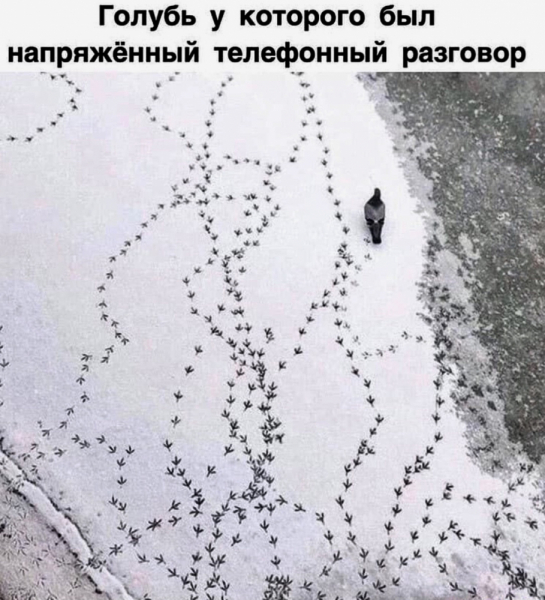 «Как я провёл этим летом» ©️ или неспешные прогулки по окрестностям Петербурга в ковидную годину