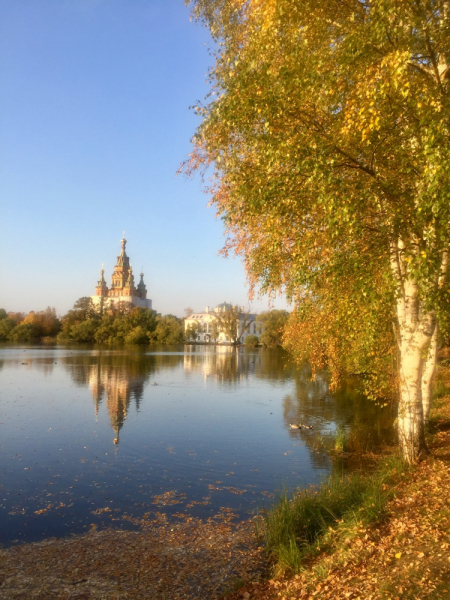 «Как я провёл этим летом» ©️ или неспешные прогулки по окрестностям Петербурга в ковидную годину