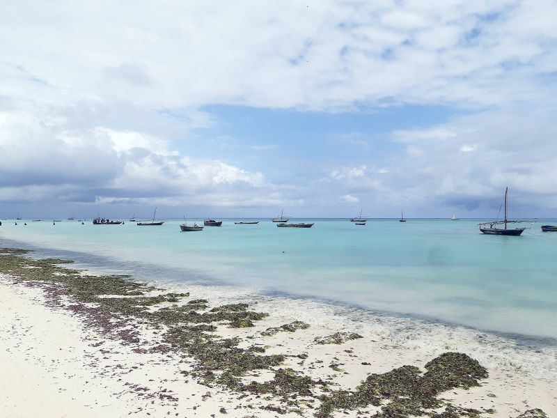 Zanzibar is not far! На гребне «второй волны»